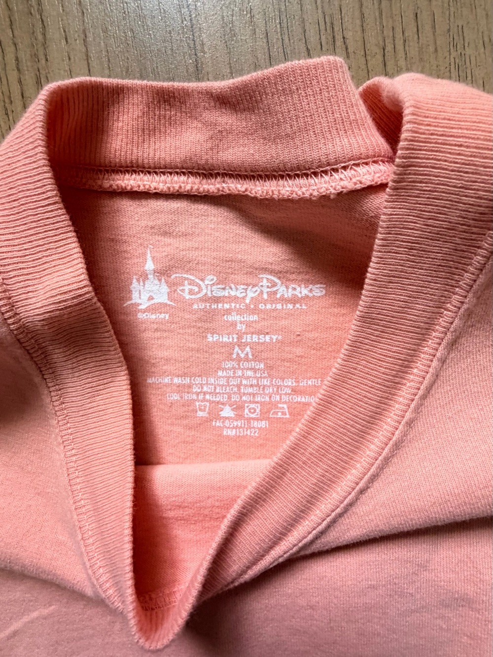 Peach Disneyland Spirit Jersey - Picture 3 of 4